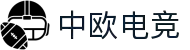 中欧电竞-探索电竞的丝绸之路